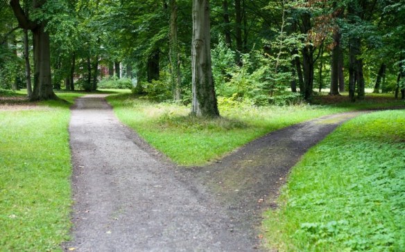 The Road Less Traveled